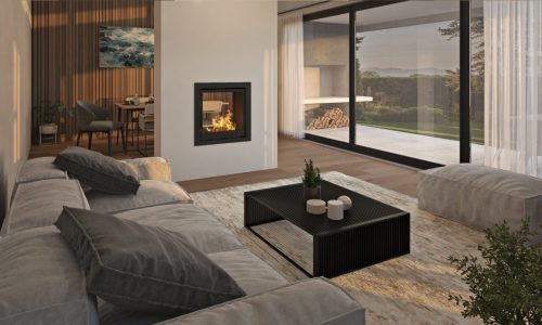 element-80-double-sided-gas-fireplace-1279953726jpg